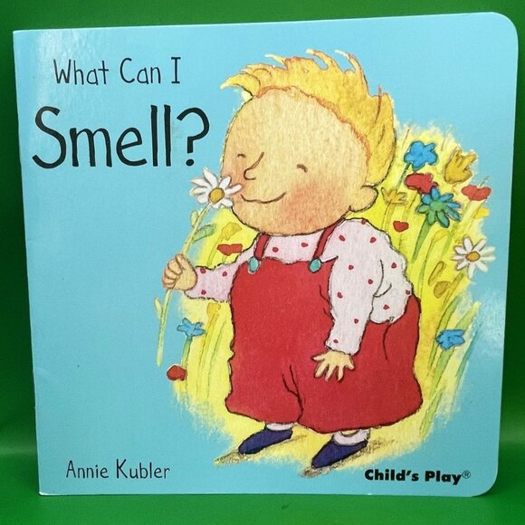 Preschool Book Lot Five Senses Set of 6 Annie Kubler Sally Hewitt Home School - Picture 9 of 16